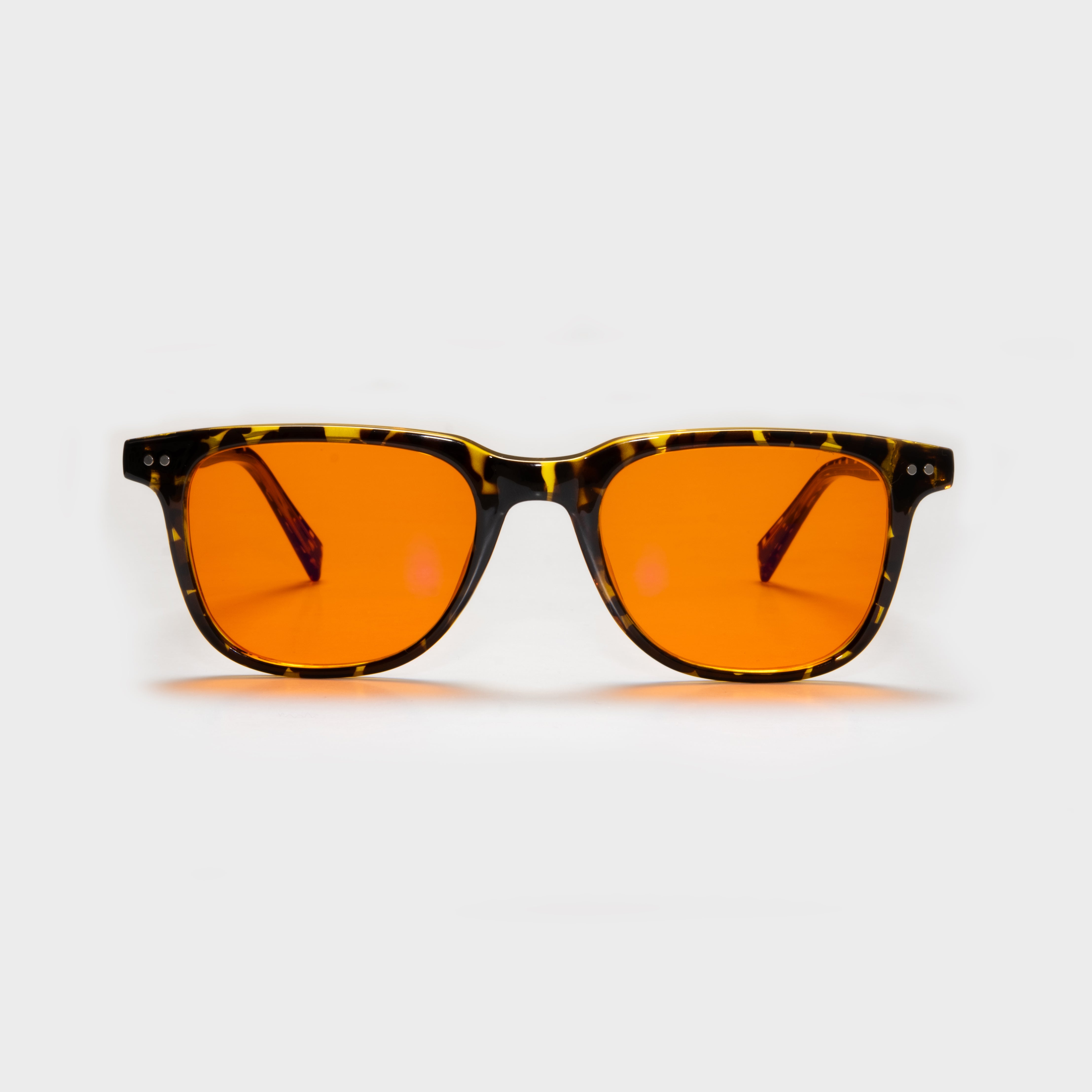 Vesta Tortoise Relax Lens